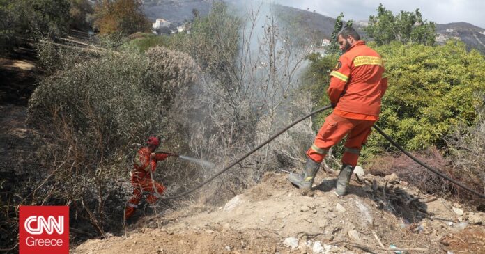 1649690706_Φωτιά-στη-Χαλκιδική-Σε-ύφεση-το-μέτωπο-της-πυρκαγιάς.jpg