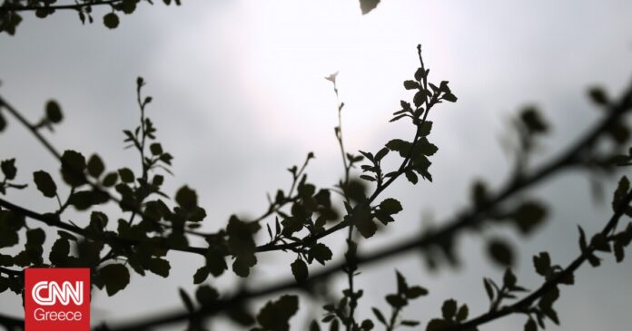 Καιρός-Άνοδος-τη-θερμοκρασίας-και-επανεμφάνιση-της-σκόνης-σήμερα.jpg
