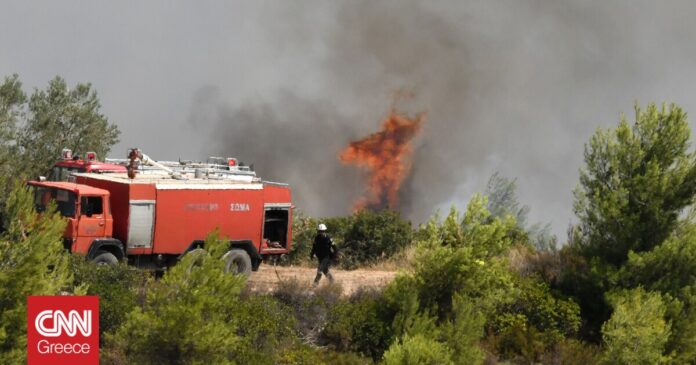 Φωτιά-στην-Αρκαδία-Σε-ύφεση-το-μέτωπο-Σε-επιφυλακή.jpg