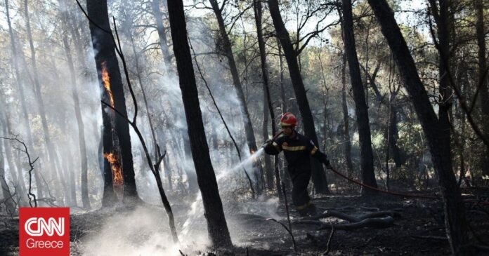1659435999_Δασικές-πυρκαγιές-Ιουλίου-Επηρέασαν-περισσότερα-από-132000-στρέμματα.jpg
