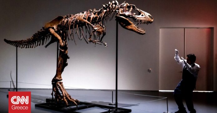Ο-μεγαλύτερος-σκελετός-δεινοσαύρου-στην-Ευρώπη-βρέθηκε-στην-πίσω-αυλή.jpg