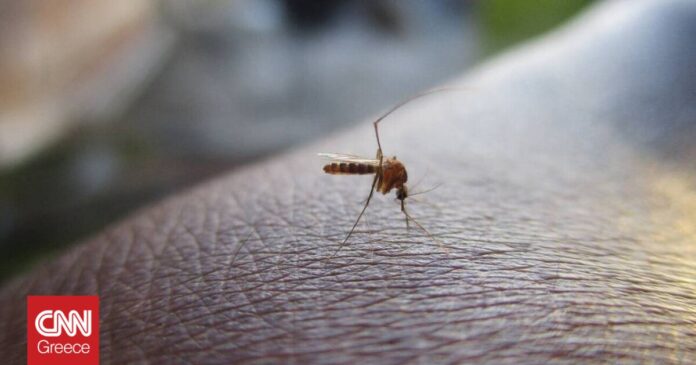 1664286255_Ιός-Δυτικού-Νείλου-22-θάνατοι-στην-Ελλάδα-και-254-κρούσματα-την.jpg