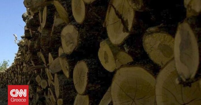 Θεσσαλονίκη-Έκλεψαν-20-τόνους-ξύλα-που-θα-μοιράζονταν-δωρεάν-στους.jpg