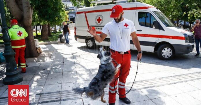 1664900184_Παγκόσμια-Ημέρα-Ζώων-Δράση-του-Ελληνικού-Ερυθρού-Σταυρού-για-παροχή.jpg