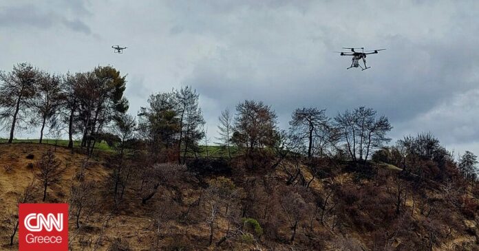 1669539865_Πιλοτική-τεχνική-αναδάσωσης-μέσω-drone-για-πρώτη-φορά-στην-Ελλάδα.jpg