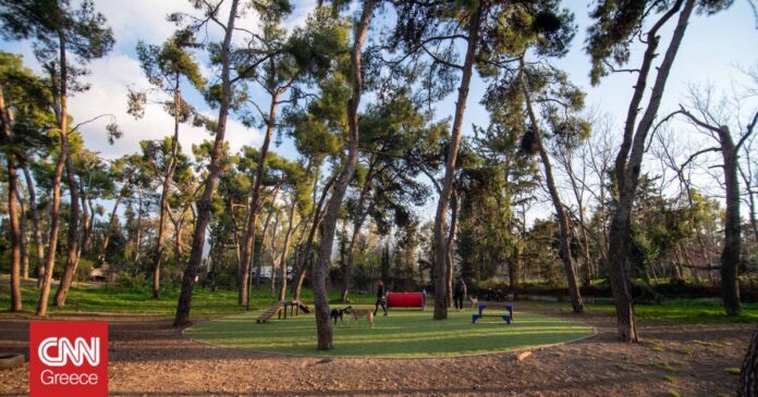 1672739525_Δήμος-Αθήνας-Δύο-νέα-πάρκα-κατοικιδίων-σε-Άλσος-Χωροφυλακής-και.jpg