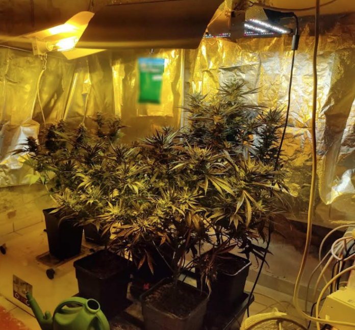 1677098770_Κέρκυρα-Εντοπίστηκε-πλήρως-εξοπλισμένο-εργαστήριο-υδροπονικής-καλλιέργειας-κάνναβης-–-Συνελήφθη.png