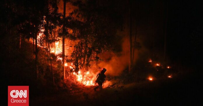 Χιλή-Ανεξέλεγκτη-η-κατάσταση-με-τις-πυρκαγιές-26-νεκροί.jpg