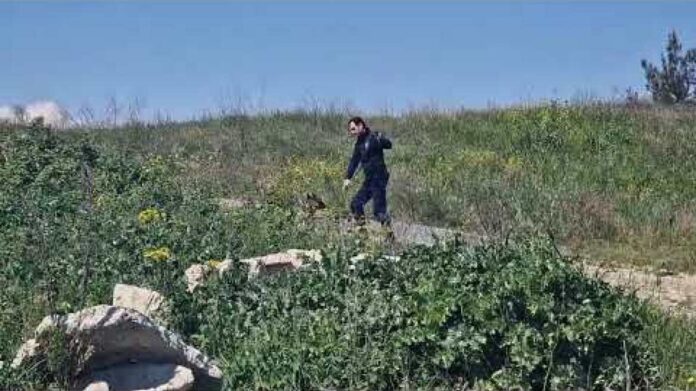 1680701993_Θεσσαλονίκη-Εκπαιδευμένος-σκύλος-στο-σπίτι-του-34χρονου-μητροκτόνου-–-Επεκτείνονται.jpg