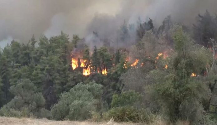 Πραγματοποιήθηκε-η-πρώτη-σύσκεψη-για-την-πυροπροστασία-ενόψει-καλοκαιριού.jpg