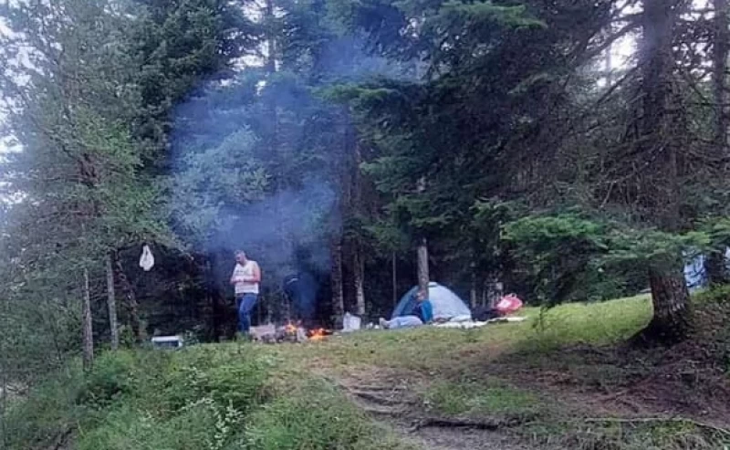 Πίνδος, δάσος Βάλια Κάλντα, ελεύθερο κάμπινγκ, Γιώργος Κακούσης, φωτιά σε δάσος πίνδος, μπαρμπεκιου πίνδος,