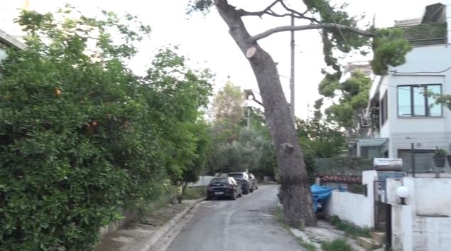 Μαρούσι-Κινδυνεύει-να-πέσει-δένδρο-πάνω-στο-σπίτι-της-–.jpg