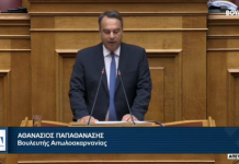 Ομιλία του Θανάση Παπαθανάση στην Ολομέλεια της Βουλής κατά την διαδικασία της συζήτησης επί των Προγραμματικών Δηλώσεων της Κυβέρνησης.