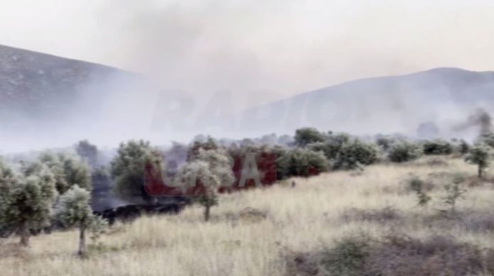 Φωτιά-στη-Βοιωτία-Ολονύχτια-μάχη-με-τις-φλόγες-–-Μήνυμα.jpg