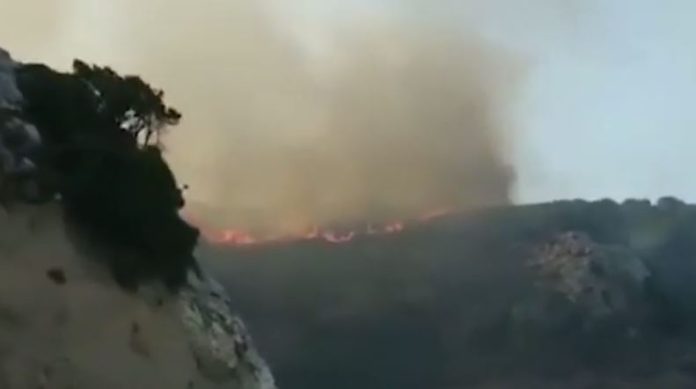 Φωτιά-στη-Νάξο-Ολυνύχτια-μάχη-με-τις-φλόγες-στην-Κεραμωτή.jpg
