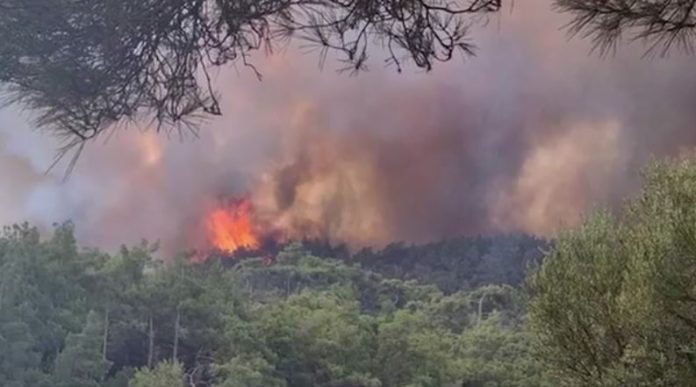 Φωτιά-στη-Ρόδο-Στάχτη-έγιναν-πάνω-από-30000-στρέμματα-παρθένου.jpg