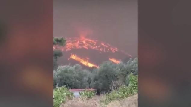 Φωτιές-Μάχη-με-τις-φλόγες-σε-Ρόδο-Αίγιο-Κάρυστο-Αργολίδα.jpg