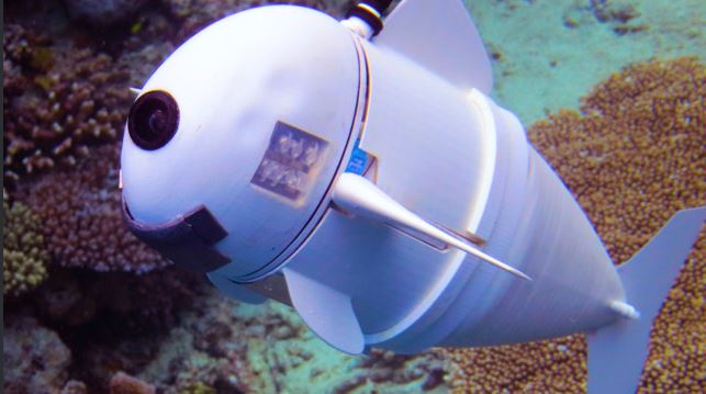 1691437234_Ελβετία-Ρομποτικό-ψάρι-για-έρευνες-στα-βάθη-των-ωκεανών-–.jpg
