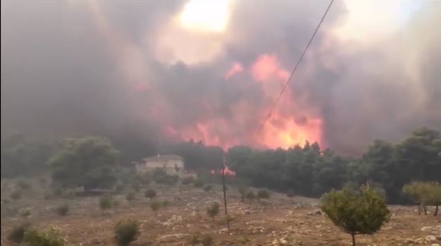 1692446379_Φωτιές-Μεγάλη-πυρκαγιά-στην-Αλεξανδρούπολη-–-Ήχησε-το-112.jpg