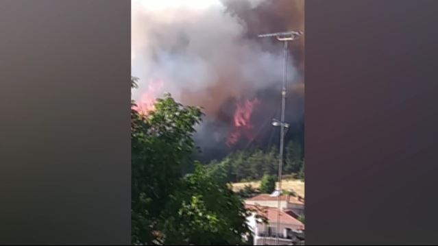 Γρεβενά-Κοντά-σε-σπίτια-η-φωτιά-–-Κινητοποίηση-επίγειων-amp.jpg