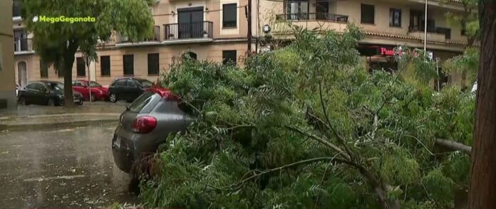 Μαγιόρκα-Τουρίστες-τραυματίστηκαν-από-δένδρα-που-ξεριζώθηκαν-–-Πλημμύρισαν-δρόμοι.jpg