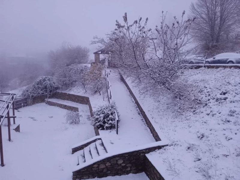 χιόνι 