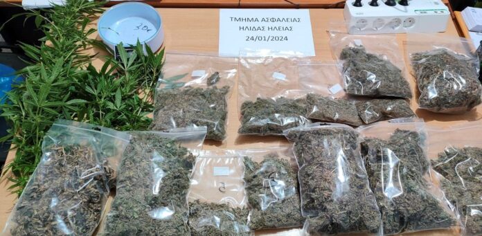 1706238172_Συνελήφθη-άνδρας-στην-Ηλεία-για-διακίνηση-και-καλλιέργεια-ναρκωτικών.jpg