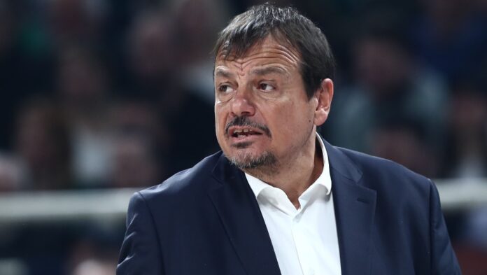 ataman-2-copy.jpg