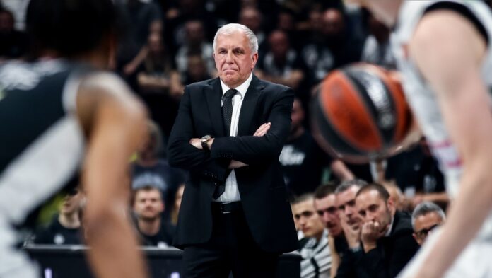 obradovic-1.jpg