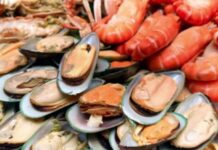 Στα ύψη οι τιμές στα ιχθυοπωλεία – Ακριβότερα από πέρυσι τα σαρακοστιανά εδέσματα