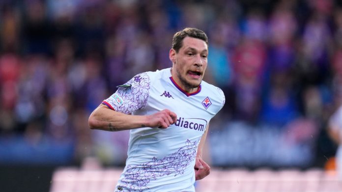 Belotti.jpg