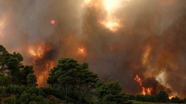 fire-.jpg