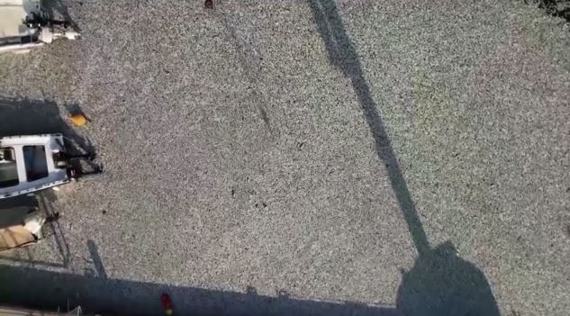 Capture-209.jpg