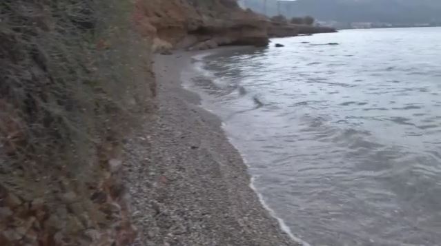 Capture-222.jpg