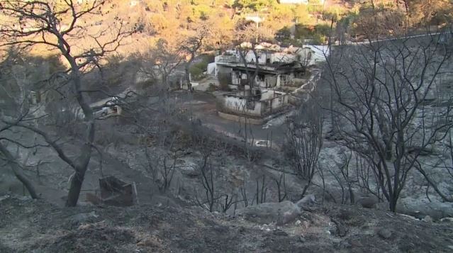 fotia-6.jpg