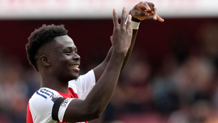 saka.jpg