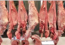 Πάσχα: «Κλείδωσαν» οι τιμές σε αρνιά και κατσίκια – Πόσο τελικά θα κοστίσει φέτος το Πασχαλινό τραπέζι