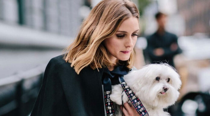 Γιατί είναι σημαντικό το microchip για τα κατοικίδια ζώδια;