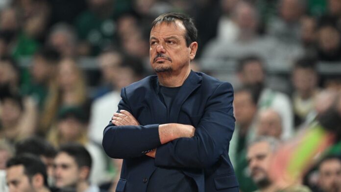 ataman-1.jpg