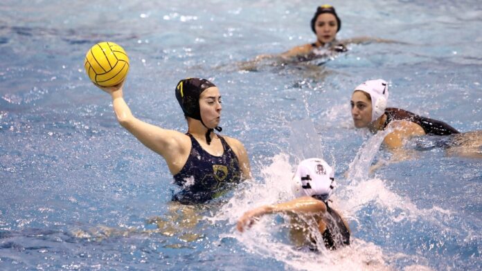 polo-paok-aek.jpg