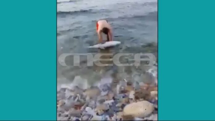 Capture-209.jpg