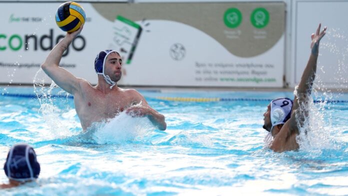 POLO-2.jpg