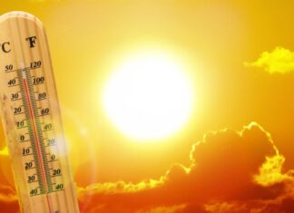 Δεκάδες οι νεκροί στην Ευρώπη από τον καύσωνα – Εφιαλτικές προβλέψεις ειδικών