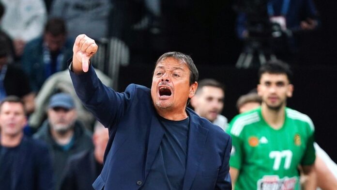 ataman-2.jpg
