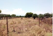 Καθαρισμός οικοπέδων: Τι πρέπει να κάνουν οι ιδιοκτήτες