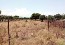 Δημοσιεύθηκε η ΚΥΑ για τον καθαρισμό οικοπέδων – Όλα όσα προβλέπει