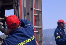 Φωτιά στον Ορχομενό, έχουν σηκωθεί 4 αεροπλάνα και 2 ελικόπτερα