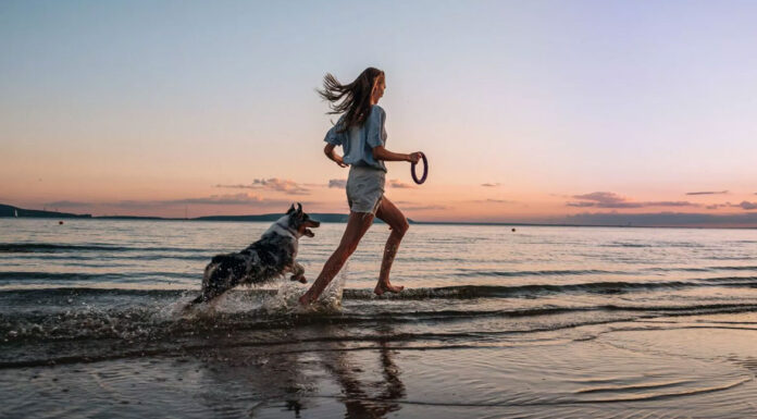 Βασικές εντολές που πρέπει να γνωρίζει ο σκύλος σας πριν πάτε στη θάλασσα