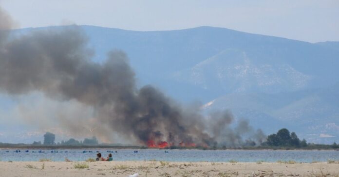 fwtia-nestos-1200x630.jpg