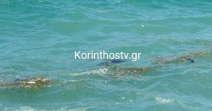 korinthos-aftokinhto-thalassa-1200x630.jpg